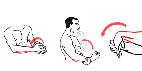 Wrist And Elbow Exercises Pt Helper