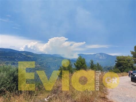 Jun 15, 2021 · φωτιά ξέσπασε το απόγευμα της τρίτης στην εύβοια και συγκεκριμένα στον δήμο μαντουδίου λίμνης αγίας άννας. Εύβοια: Μεγάλη φωτιά στο χωριό Κυπαρίσσι | ΕΛΛΑΔΑ ...