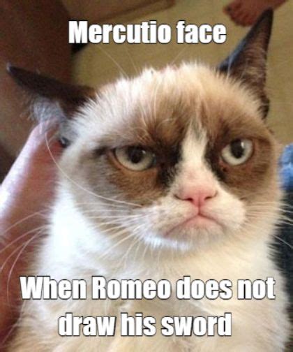 Meme Maker Romeo And Juliet In 2020 Grumpy Cat Humor Funny Grumpy