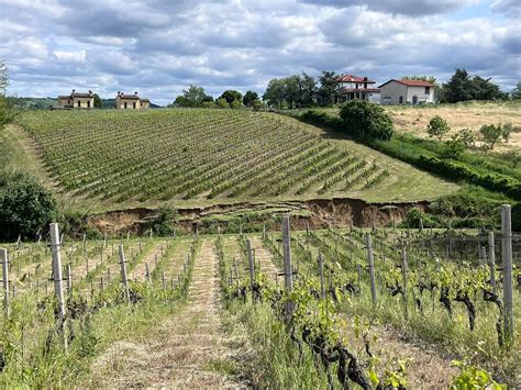 Revealing Emilia Romagna: Italy's Hidden Gem — Vero