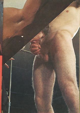 Perverted Orgies 1 Vintage Porno Magazine 48 Pics XHamster