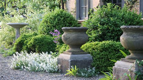 Why Boxwood A Perennial Favorite Needs A New Approach The New York