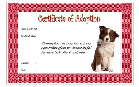 pet adoption certificate editable templates