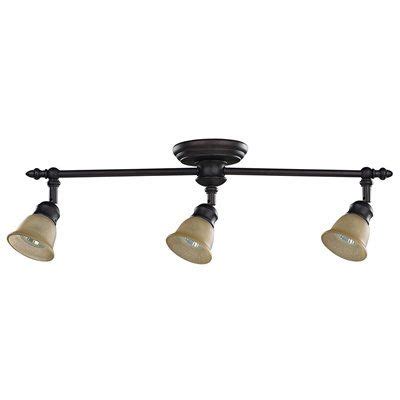 Free shipping and easy returns on most items, even big ones! Canarm IT284A03ORB10 3 Light Port Track Lighting Kit, Oil ...