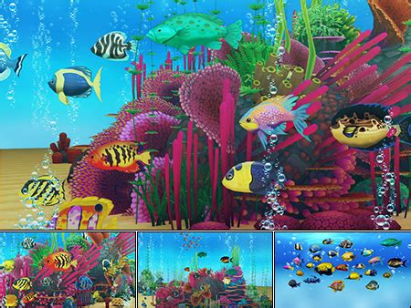 Colorful Sea-Fish Pack [Unity Asset] | Sea fish, Colorful fish, All fish