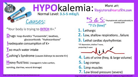 Pathophysiology Of Hypokalemia