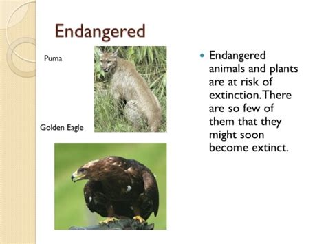 Extinct Endangered Threatened Animals Powerpoint K 5 Computer Lab