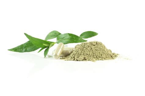 Details 100 Nature Herbal Background Abzlocalmx