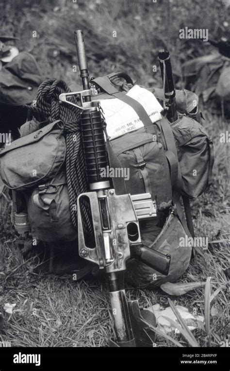 Us Rifleman Vietnam 1968 Reenactor Stock Photo Alamy