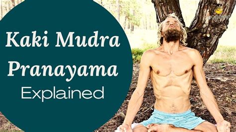 kaki mudra pranayama detailed explanation and session youtube