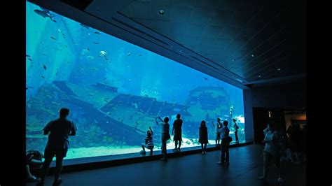 Spending The Day At The Sea Aquarium Sentosa Singapore Youtube
