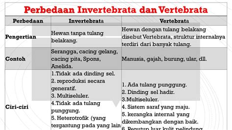 Hewan vertebrata dan invertebrata merupakan dua ketegori hewan yang dibagi berdasarkan tulang belakangnya, berikut contoh dan gambarnya. Tuliskan 5 Perbedaan Antara Dna Dan Rna - DNA Informasi