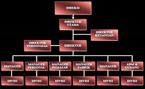 Gambar Struktur Organisasi Perusahaan Homecare