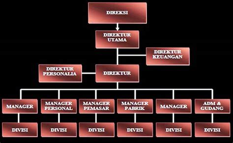 Struktur Organisasi Perusahaan Pengertian Contoh Dan Fungsinya My Xxx