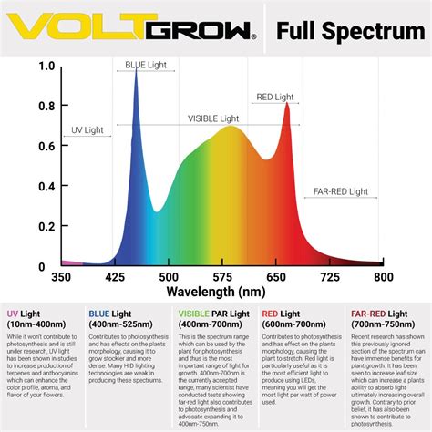 What Is The Best Light Spectrum For Plant Growth Volt Grow