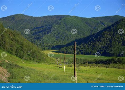 Wooden Poles Of The Power Line Going Through A Fertile Valley