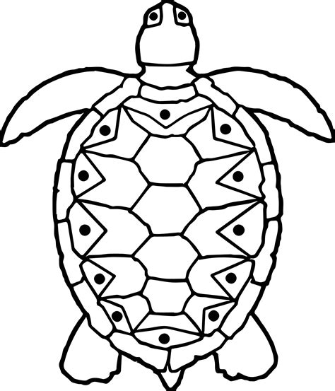 Sea Tortoise Turtle Coloring Page