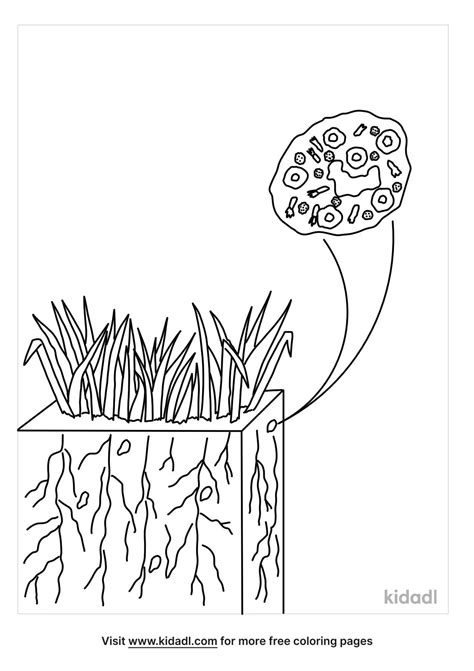 Free Soil Bacteria Coloring Page Coloring Page Printables Kidadl