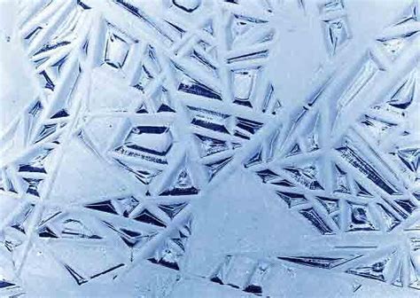 Ice Fractals Photograph