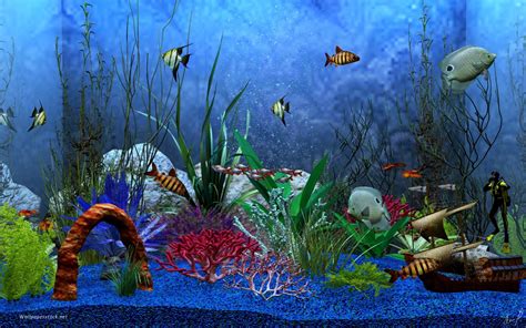 Free Live Fish Aquarium Wallpaper Wallpapersafari