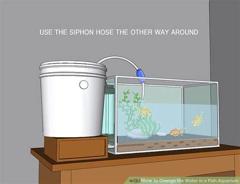 3 Ways To Change The Water In A Fish Aquarium Wikihow