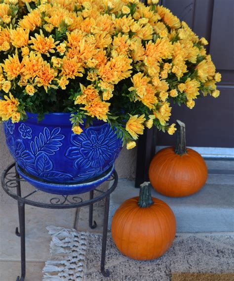 Diy Easy And Realistic Faux Fall Mums For Your Porch Mom Eat Repeat