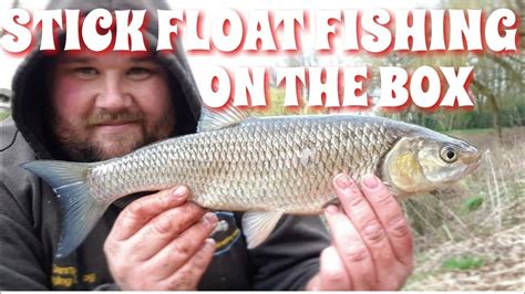 Stick Float Fishing For Chub On The Box Youtube