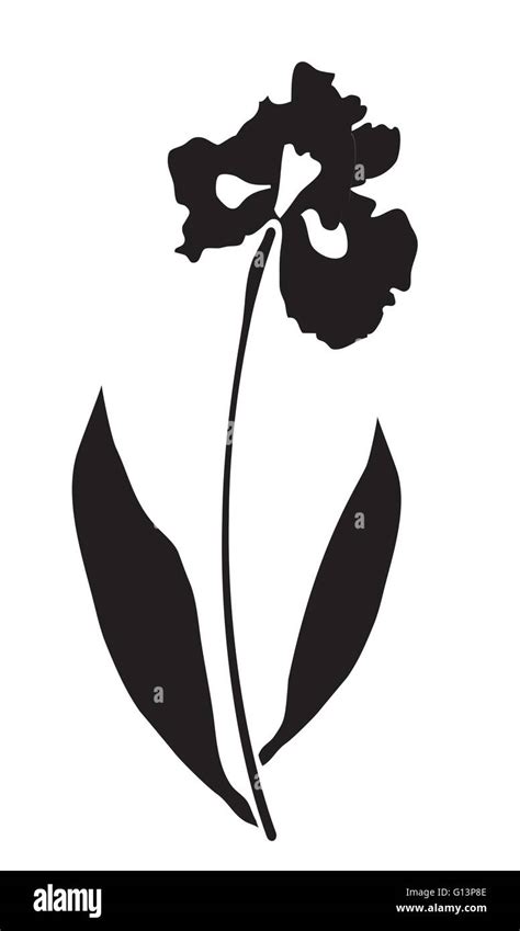 Vector Illustration Of An Iris Flower Vector Silhouette Stock Vector