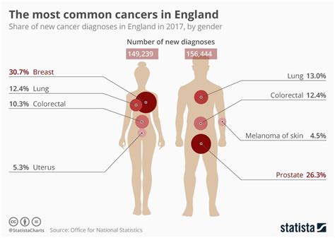 Infographic The Most Common Cancers In England Cancer Health Info Cancer Diagnosis