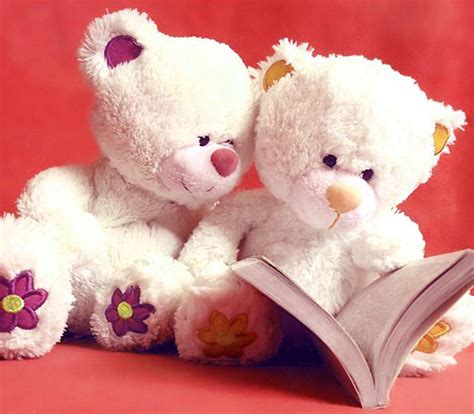 379+ Cute Profile Whatsapp DP Images Download HD Download