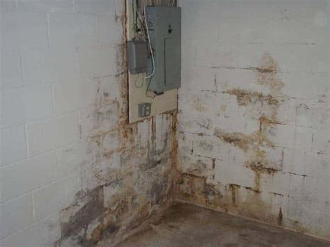 Be sure to check behind anything that is sitting against the walls. Mold & Mildew in Canton Ohio