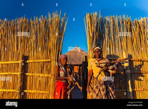 Women With Firewood Okavango Delta Botswana Stock Photo Alamy