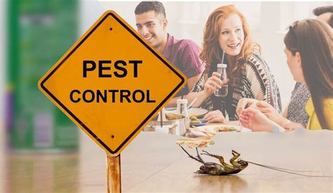 How To Prevent A Pest Infestation In Your Restaurant Nj Pest Control