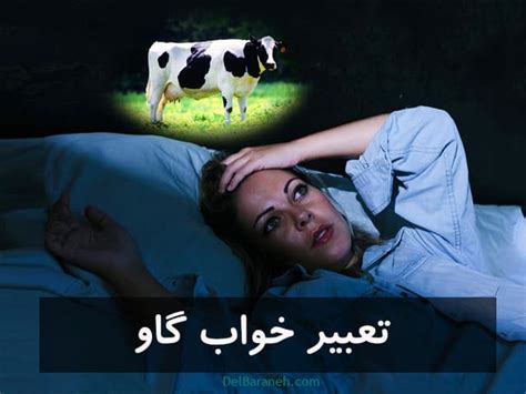 در این ویدیو آموزش ریاضی نهم فصل پنجم عبارت های جبری، اتحاد های جبری، اتحاد و تجزیه، نامعادله، کاربرد اتحاد، چن جمله ای، مساحت و محیط در فصل پنجم کتاب ریاضی نهم از علی هاشمی را تماشا کنید. تعبیر خواب گاو | دیدن گاو چاق و لاغر،کشتن گاو در خواب〚از ۹ ...