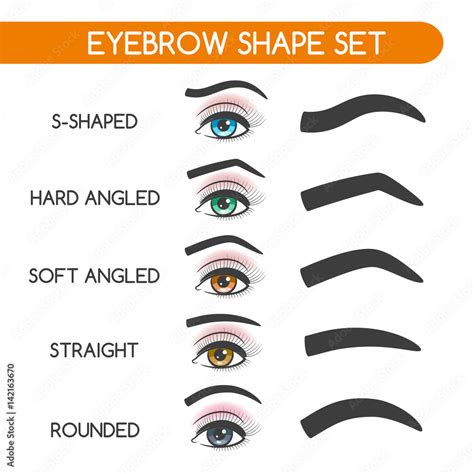 Eyebrow Shaping For Woman Face Makeup Eyebrows Shape Set Vector