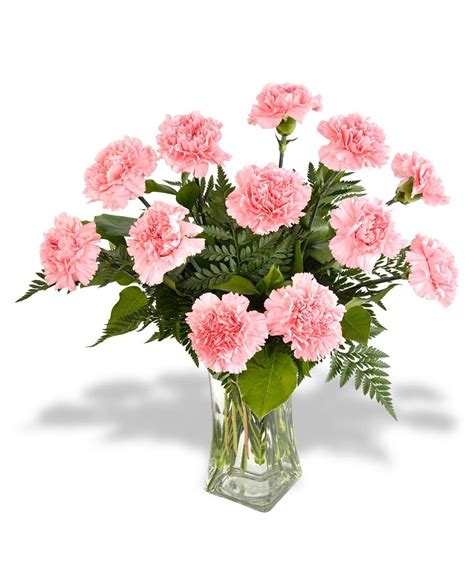 Long Stemmed Pink Carnations In Vase Carnation Pinterest Pink