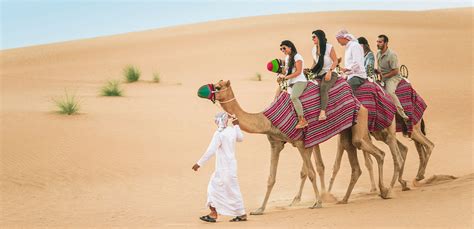 Camel Desert Safari Dubai Desert Safari