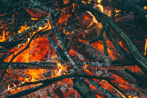 Free Images Ash Bonfire Burn Burning Campfire Ember Firewood