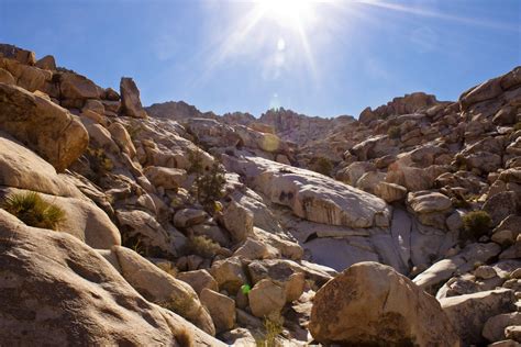 Spare Parts And Pics Rattlesnake Canyon Joshua Tree National Park