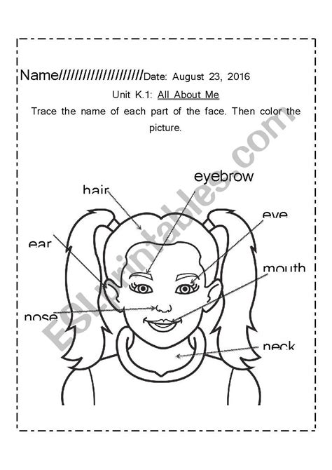 Parts Of The Face Diagram Esl Worksheet By Mtoste