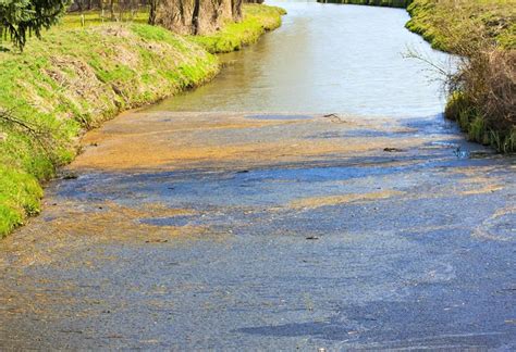Water Pollution Facts For Kids
