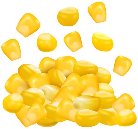 Corn PNG Transparent Image Download Size X Px