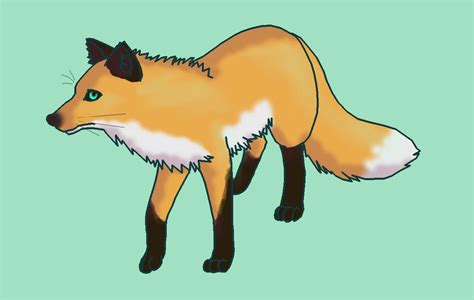 Colored Fox Sketch By Yokimoki On Deviantart