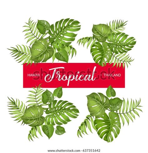 Tropical Palm Branches Collection Over White Stock Vector Royalty Free
