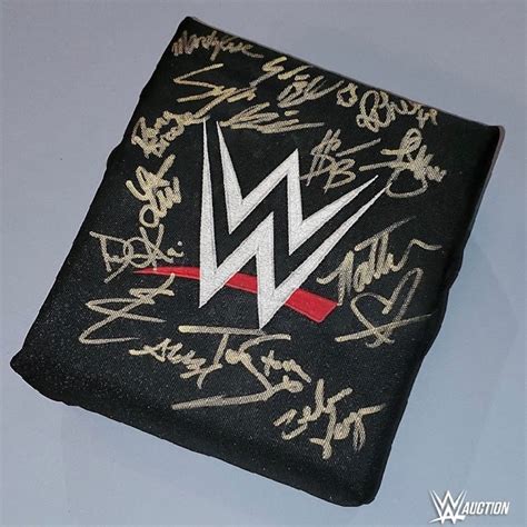 SIGNED and USED WWE Turnbuckle (WWE Evolution 10/28/2018) | WWE Auction