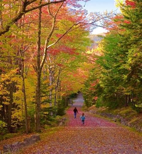 Americas Best Fall Foliage Road Trips Skye On Aol Fall Foliage