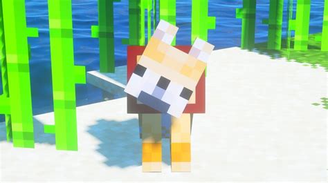 Shiba Inu Minecraft Texture Pack