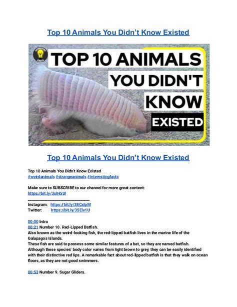 Top 10 Animals You Didnt Know Existed