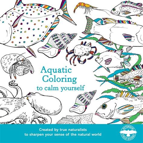 aquatic coloring to calm yourself harpercollins