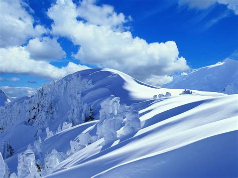 1600x1200 1600x1200 Mountains Fur Trees Sky Winter Descent